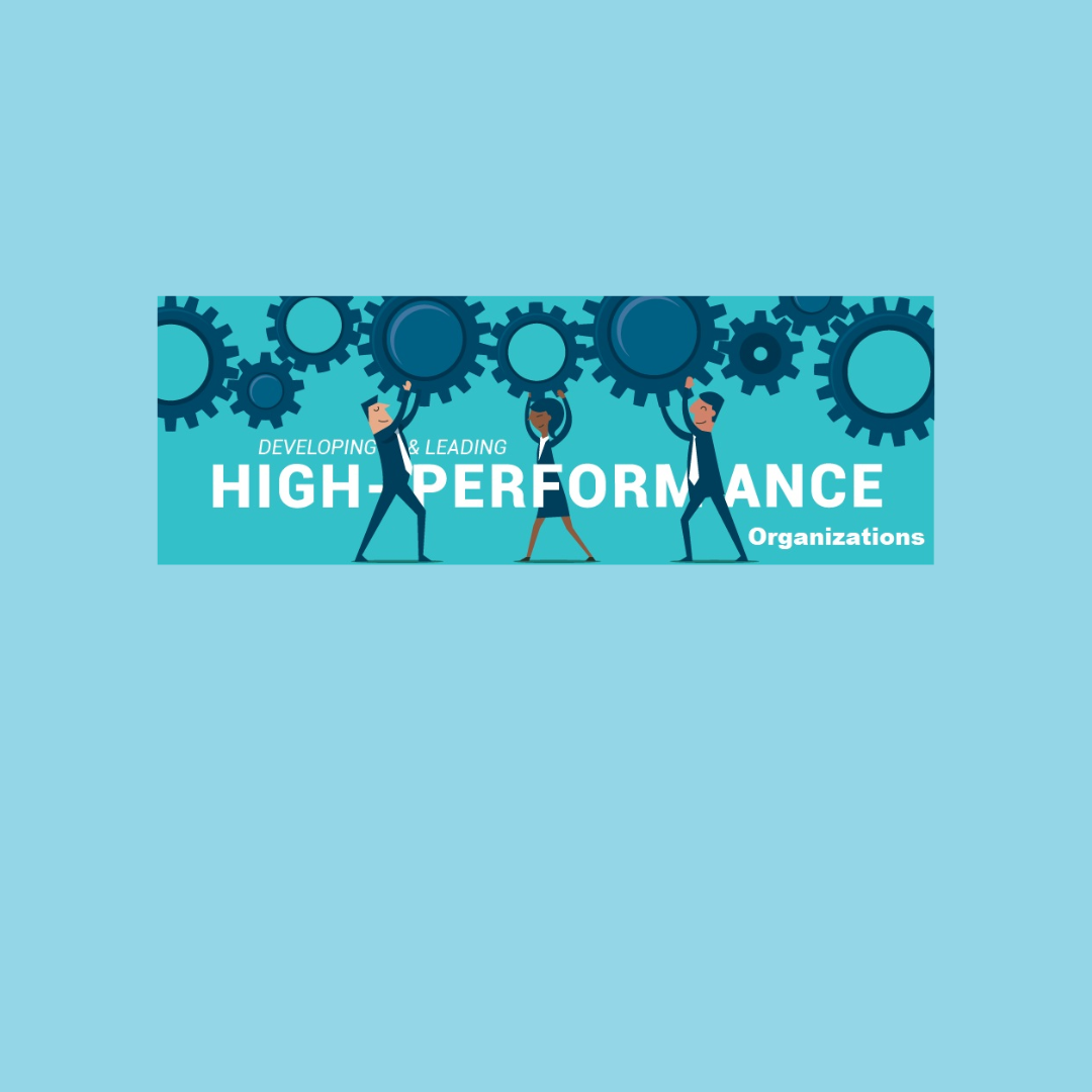 Developing High Performance oriented Organizations