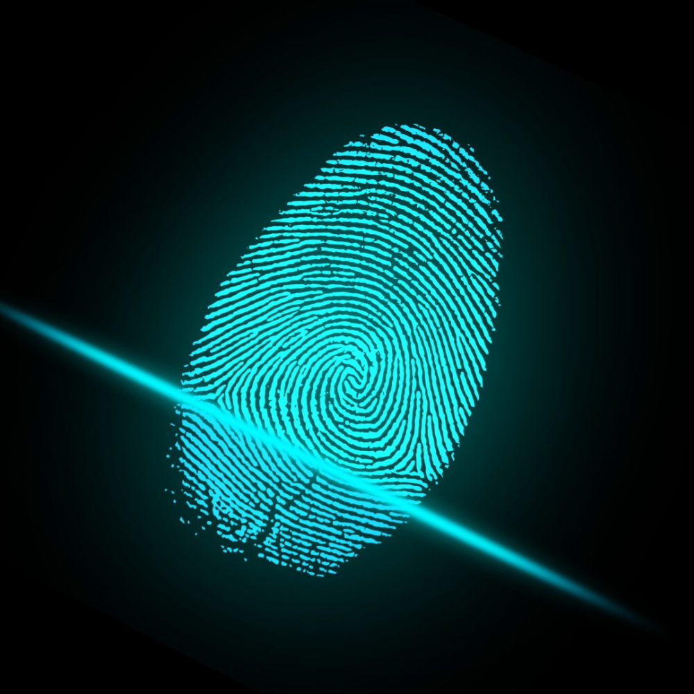 Fingerprint Analysis